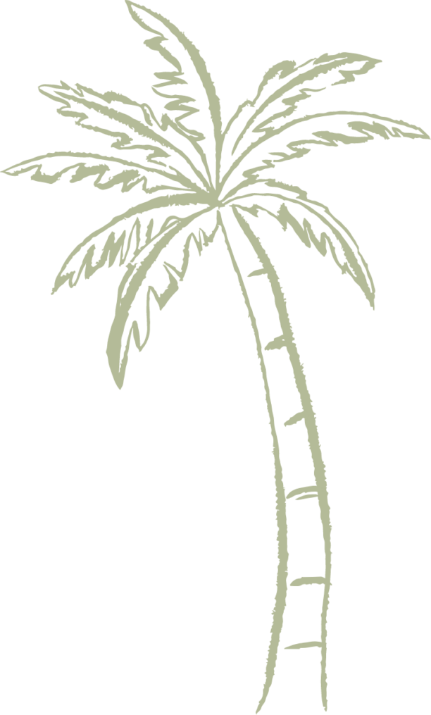 palm tree icon